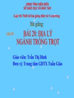 Slide Địa 10 BÀI 28 ĐỊA LÝ NGÀNH TRỒNG TRỌT _T.T Dinh