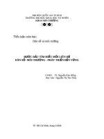 Tiểu luận - Bước đầu tìm hiểu mối liên hệ dân số - Môi trường - phát triển bền vững