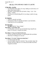 GA vòng đời của bướm