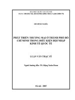 Phát triển thương mại ở thành phố Hồ Chí Mình trong điều kiện hội nhập kinh tế quốc tế