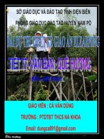 Slide văn 8 QUÊ HƯƠNG _Văn Dũng