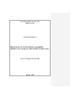 Pháp luật về tuyển dụng lao động trong các cơ quan nhà nước ở Việt Nam