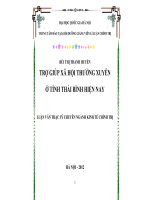 Trợ giúp xã hội thường xuyên ở tỉnh Thái Bình hiện nay