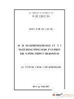 Luận văn thạc sĩ Mở rộng kinh doanh ngoại tệ tại ngân hàng NN&PTNT Tỉnh KonTum (full)