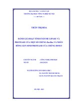 Đánh giá đặc tính enzyme lypase và protease của một số chủng bacillus và nhân dòng gen sinh protease của chủng DSM13