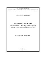 Phát triển đội ngũ tri thức người dân tộc thiểu số ở tỉnh Lạng Sơn thời kỳ công nghiệp hóa, hiện đại hóa