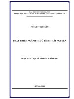 Phát triển ngành chè ở tỉnh Thái Nguyên  Luận văn ThS. Kinh tế