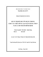 Luận văn thạc sĩ Quản trị rủi ro tín dụng trong cho vay tiêu dùng tại ngân hàng TMCP Nam Á chi nhánh Bình Định (full)