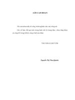 Luận văn thạc sĩ Hoàn thiện công tác quản lý vốn đầu tư thuộc ngân sách Đà Nẵng (full)