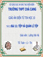 Slide tin học 10 bài 11 tệp và quản lí tệp _L.V Hà