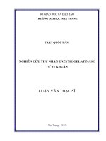 Nghiên cứu thu nhận enzyme gelatinase từ vi khuẩn