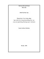 Pháp luật về các biện pháp hạn chế rủi ro trong hoạt động cho vay của các ngân hàng thương mại ở Việt Nam
