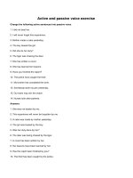 Active and passive voice exercise (4)