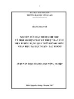 Nghiên cứu đặc điểm sinh học và một số biện pháp kỹ thuật hạn chế hiện tượng rụng quả trên hồng nhân hậu tại lục ngạn   bắc giang