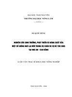 Nghiên cứu sinh trưởng, phát triển và năng suất của một số giống ngô lai mới trong vụ xuân và vụ hè thu 2005 tại hoà an   cao bằng