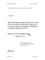 Khóa luận tốt nghiệp Nghiên cứu một số đặc điểm sinh học, sinh thái và thành phần hóa học của tinh dầu của loài Thìa là gỗ việt (Xyloselium Vietnamense Pimenov &Kljuykov) ở tỉnh Hà Giang
