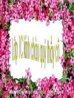 Bài giảng Môn học vần  Lớp 1 ANG ANH