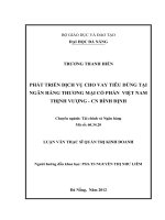 Luận văn thạc sĩ Phát triển dịch vụ cho vay tiêu dùng tại ngân hàng thương mại cổ phần Việt Nam Thịnh Vượng - Chi nhánh Bình Định (full)
