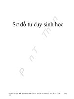 Sơ đồ tư duy sinh học ôn thi đại học