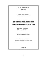 Quy chế pháp lý của thương nhân trong kinh doanh du lịch tại Việt Nam