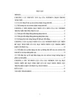 Tán xạ hạt nhân của các nơtron phân cực và véc tơ phân cực của các nơtron tán xạ trên bề mặt tinh thể phân cực trong điều kiện có phản xạ toàn phần