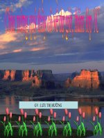 Bài giảng Phép trừ các số tròn chục Toán 1