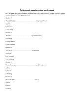 Active and passive voice worksheet (1)
