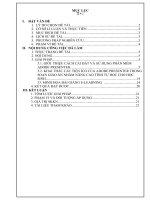 SKKN Đề tài Ứng dụng Adobe Presenter vào soạn giáo án E-Learning trong dạy học tin học 11.