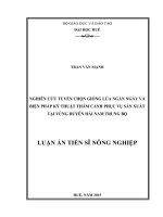 Nghiên cứu tuyển chọn giống lúa ngắn ngày và một số biện pháp kỹ thuật thâm canh phục vụ sản xuất tại vùng Duyên hải Nam Trung Bộ