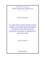 Lựa chọn chủng vi khuẩn để chế tạo thử nghiệm vacxin phòng bệnh viêm phổi do actinobacillus pleuropneumoniae, pasteurella multocida và streptococcus suis gây ra ở lợn