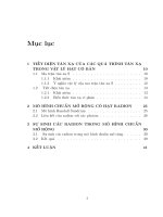 Sự sinh các radion trong mô hình chuẩn mở rộng