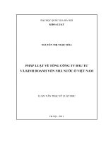 Pháp luật về tổng công ty đầu tư và kinh doanh vốn nhà nước ở Việt Nam  Luận văn ThS. Luật