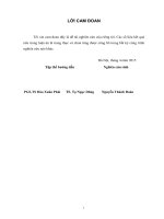 Hoạt động thương mại và truyền giáo của Bồ Đào Nha ở Ấn Độ, Trung Quốc (thế kỷ XVI-XIX) [Toàn văn]