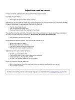 Adjectives used as nouns