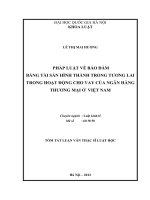 Pháp luật về bảo đảm bằng tài sản hình thành trong tương lai trong hoạt động cho vay của ngân hàng thương mại ở Việt Nam