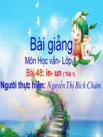 Bài giảng Môn học vần  Lớp 1IN UN