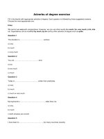 Adverbs of degree exercise