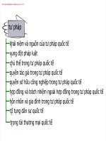 Đề cương môn tư pháp quốc tế