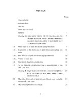Thi hành pháp luật cổ phần hóa doanh nghiệp nhà nước trong quá trình cổ phần hóa công ty Supe phốt phát và hóa chất Lâm Thao