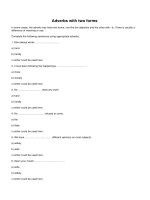 Adverbs with two forms (1)