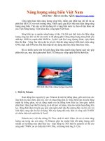 Năng lượng sóng biển Việt Nam