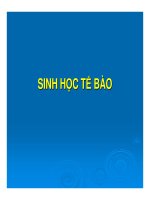 Bài giảng phương pháp nghiên cứu tế bào