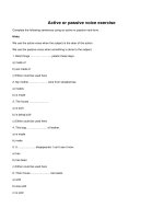 Active or passive voice exercise