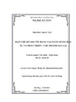 Luận văn thạc sĩ Hạn chế rủi ro tín dụng tại ngân hàng đầu tư và phát triển - Chi nhánh Gia Lai (full)