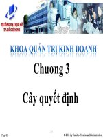 đề tài thuyết trình cây quyết định