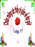 Bài giảng Môn học vần  Lớp 1 ONG