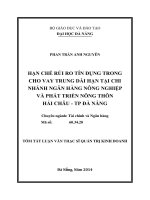 Hạn chế rủi ro tín dụng trong cho vay trung, dài hạn tại chi nhánh ngân hàng Nông Nghiệp và phát triển Nông Thôn Hải Châu - thành phố Đà nẵng