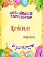 Bài giảng Môn học vần  Lớp 1 IM UM