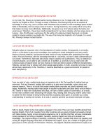 bài luận anh văn hay