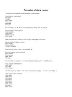 Formation of plural nouns
